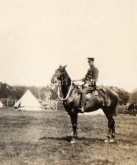 'Warwick & Self'