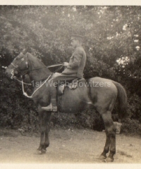 'June 6. Bedford. Warwick & Self'