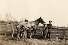 'Chipping horse, Bedford. Eddy Davies (Tank), Davies TB, Sig? Cpl'