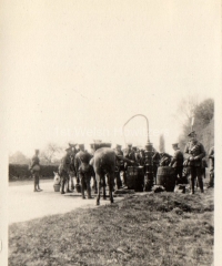 'Watering horses on way from Cambridge to Bedford. 4 May 1915'
