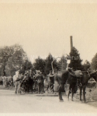 'Watering horses on way from Cambridge to Bedford. 4 May 1915'