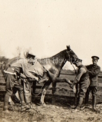 'Chipping horse, Bedford. Eddy Davies (Tank), Davies TB, Sig? Cpl'