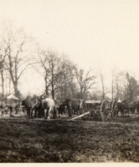 'A Sub Horse Lines' Cambridge