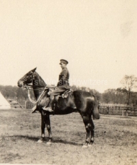 'Cooke & Warwick' Bedford
