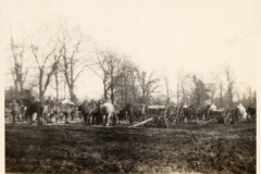 'A Sub Horse Lines' Cambridge