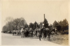 'Watering horses on way from Cambridge to Bedford. 4 May 1915'