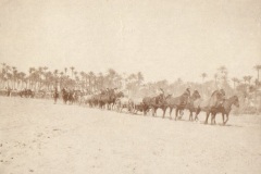 Wagons in the desert