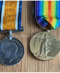 Medals - 1054, Wilson