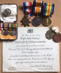 Medals, Dog Tags, MID Cert - 953, Williams