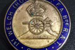 Old Comrades Association Badge - 916, Rees