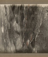 Aerial Photo, Palestine, 29/8/18